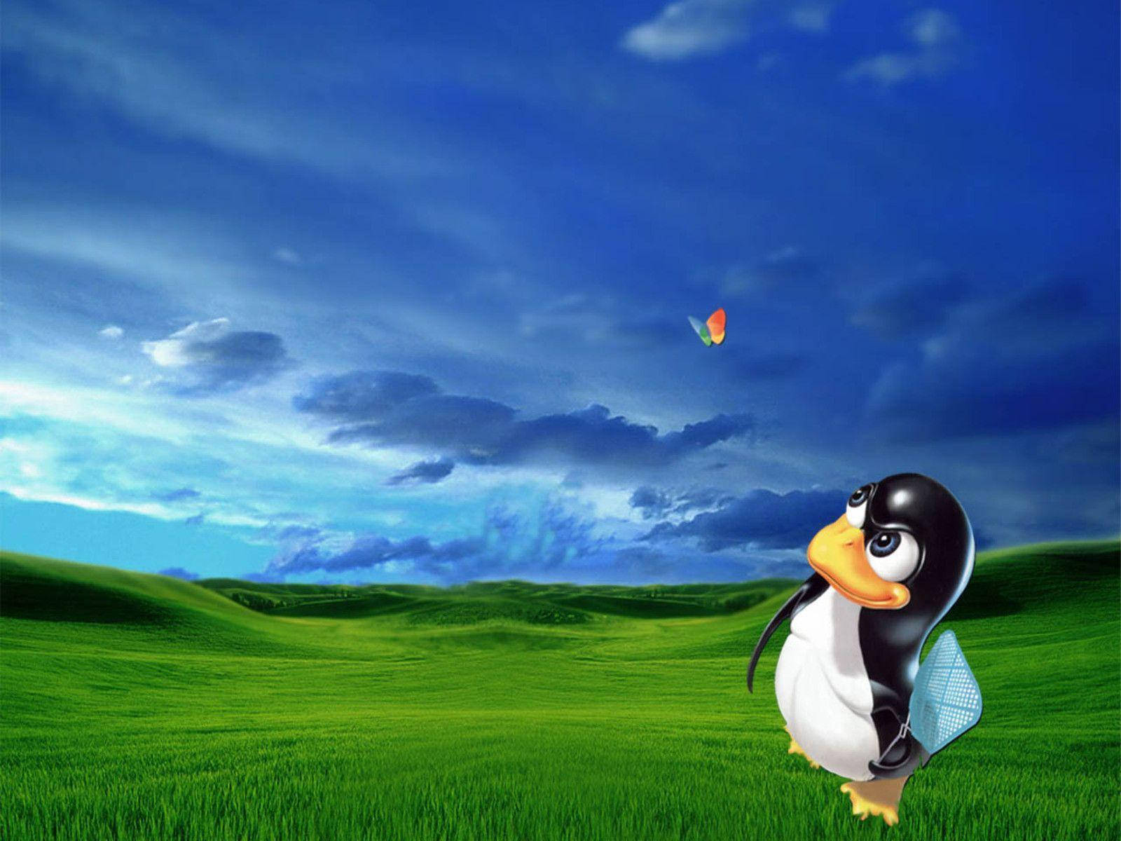 Playful Tux Linux Desktop Graphic Layout Xqtiu2lrype48z9m Wallpaper