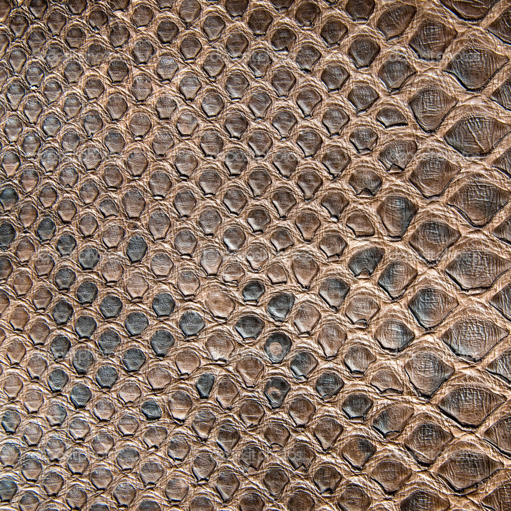 Crocodile Skin Seamless Stock Image HD Wallpaper Pictures