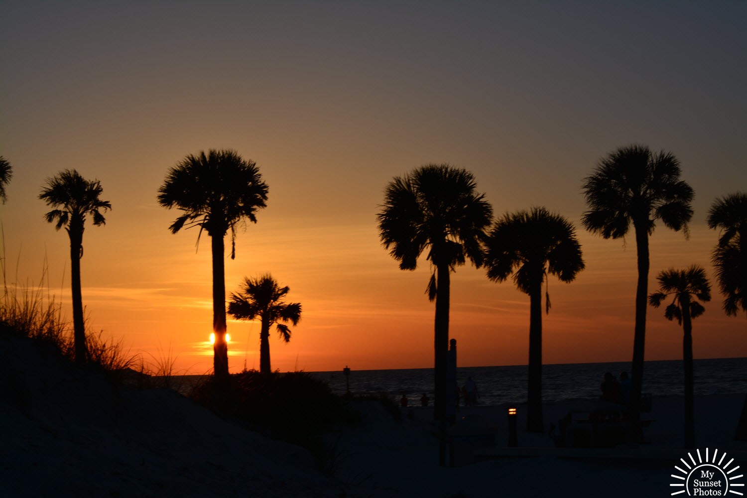 My Sunset Photos Blog Archive Palm Tree Sunset sun at