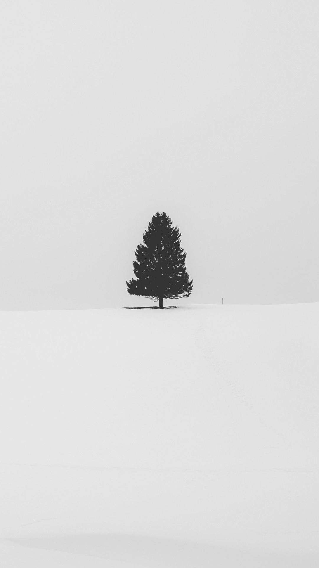 Snow Tree Minimalism Minimalist Nature