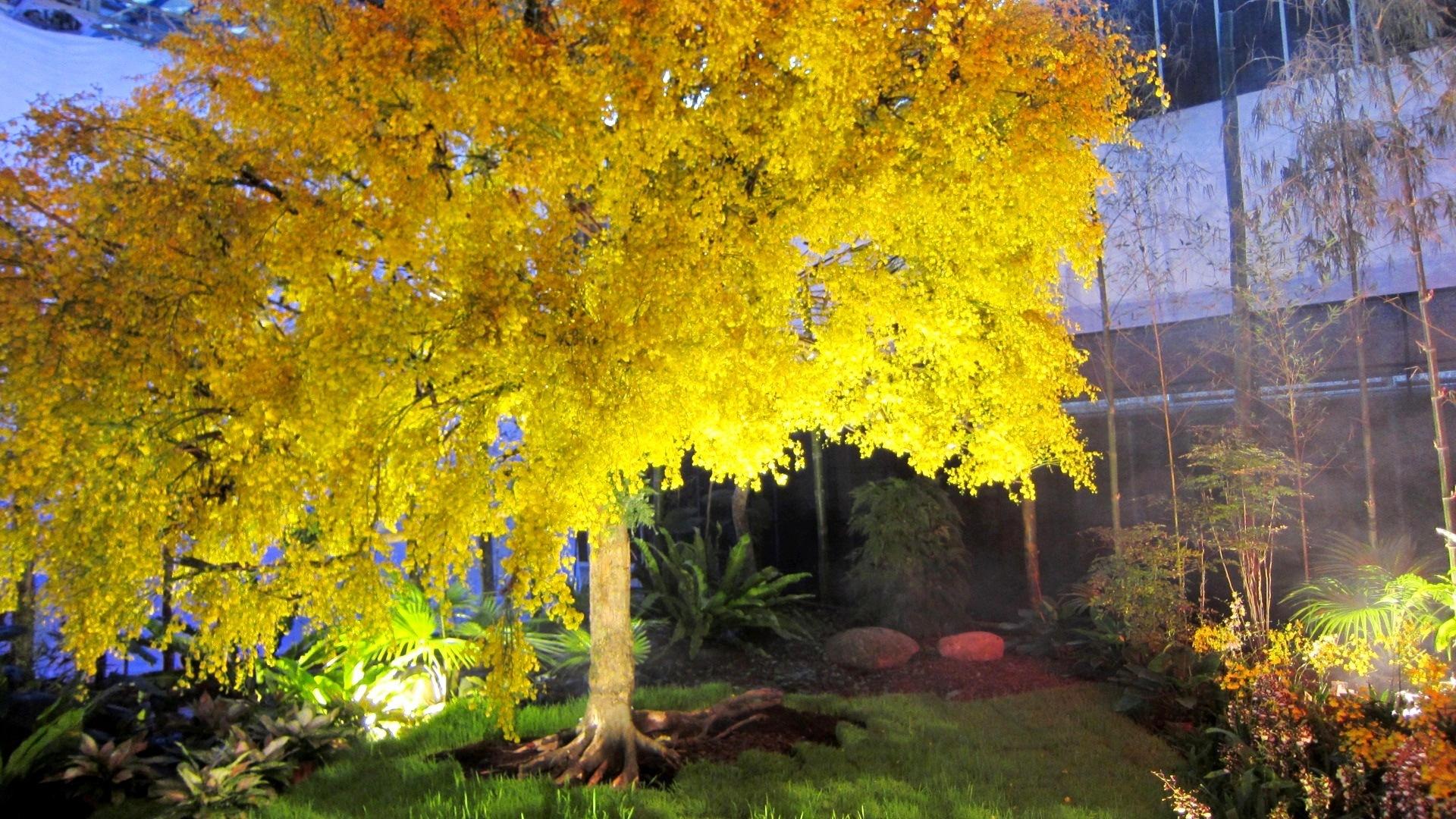 Yellow Tree Id Buzzerg