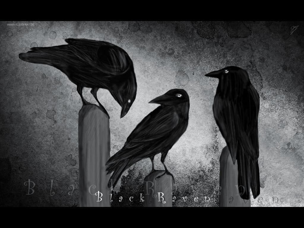 Corvids Unkindness and Murder   The Autodidact in the Attic