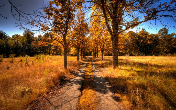 Old Country Road In The Autumn Season Image High