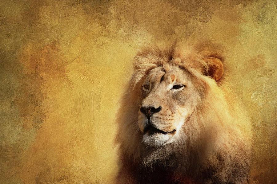 Majestic Lion Digital Art by Terry Davis   Pixels