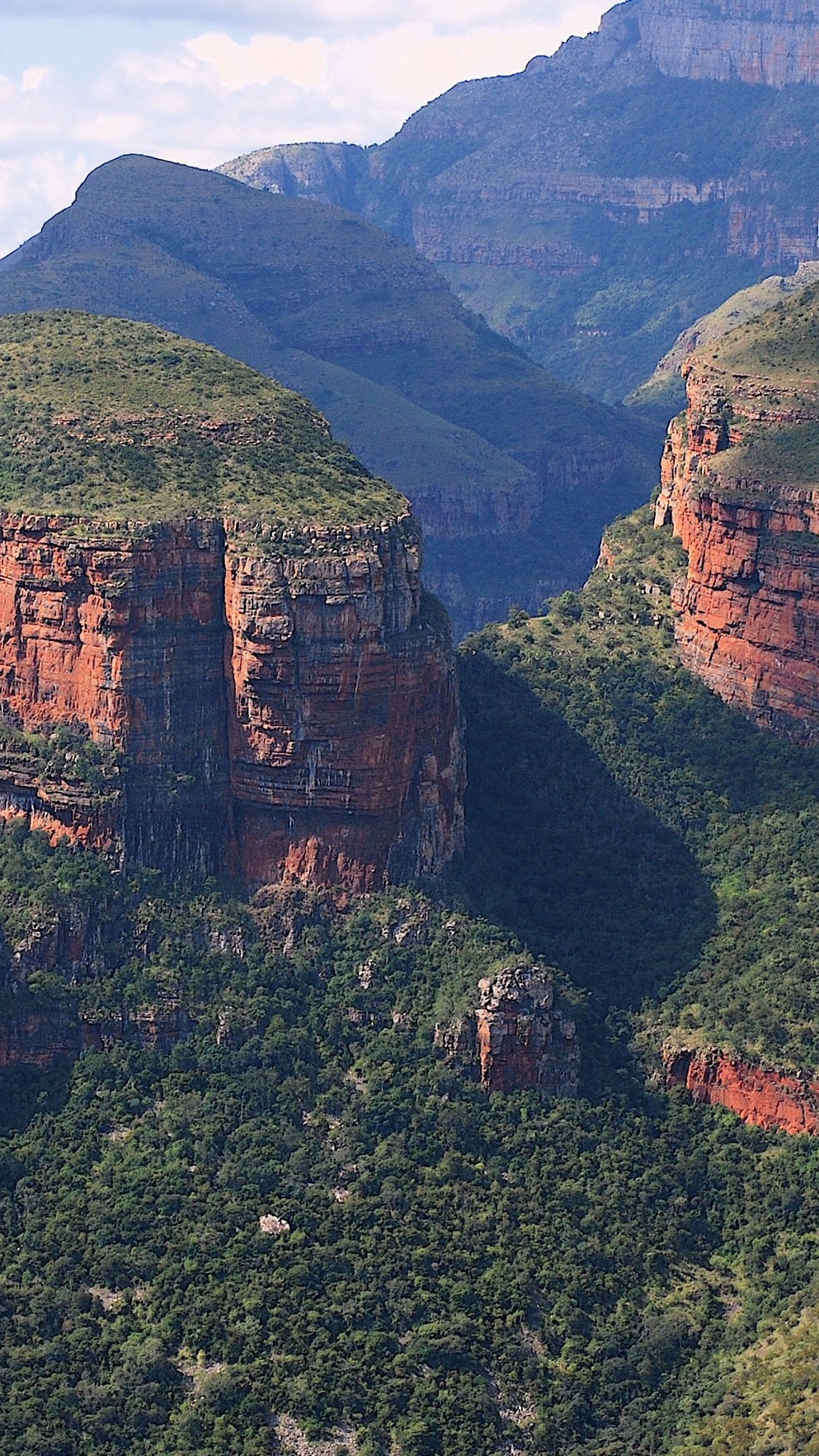South Africa Forest Mountains iPhone Wallpaper