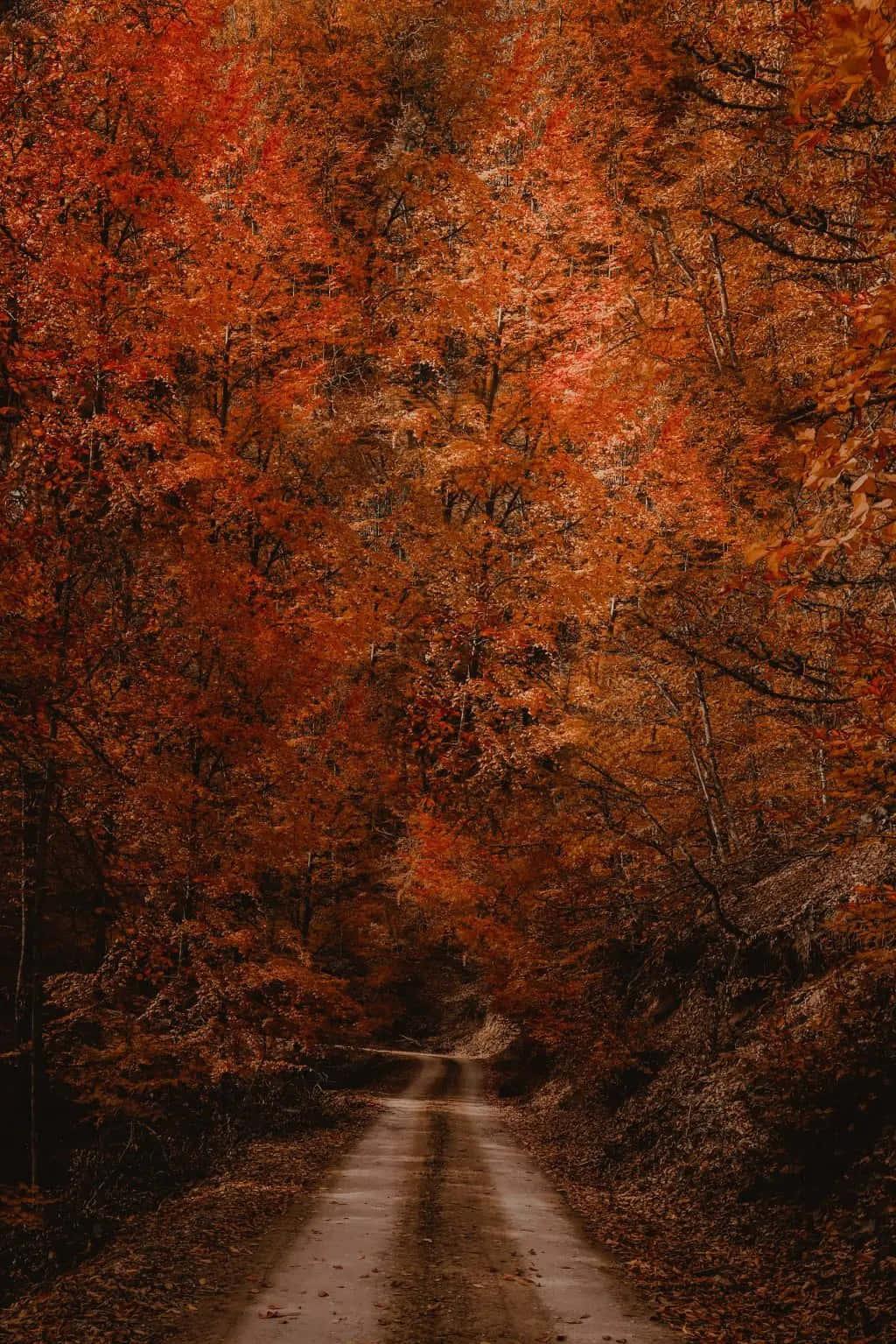iPhone Fall Background Wallpaper