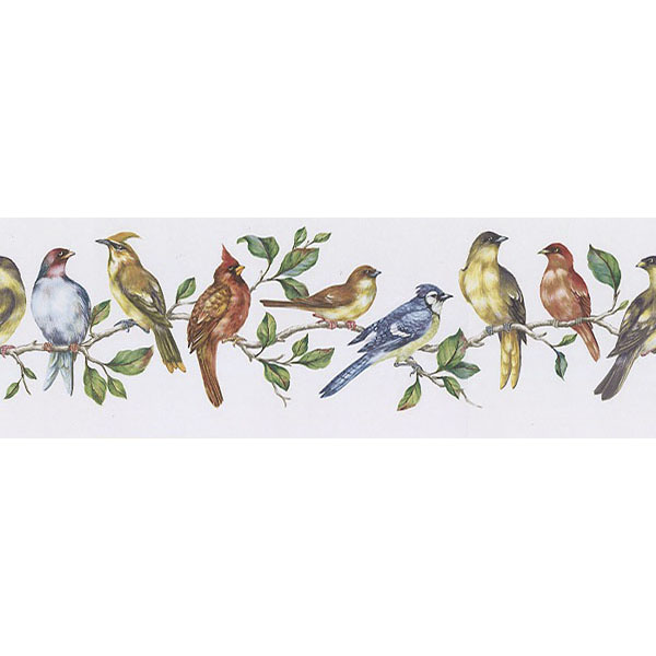 Multicolor Bird Perch Brewster Wallpaper Borders