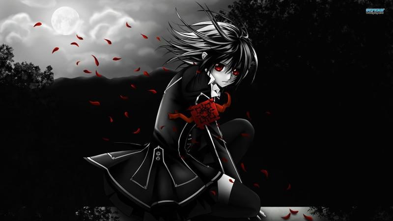 Image Anime HD Wallpaper Subcategory Vampire Knight Pc