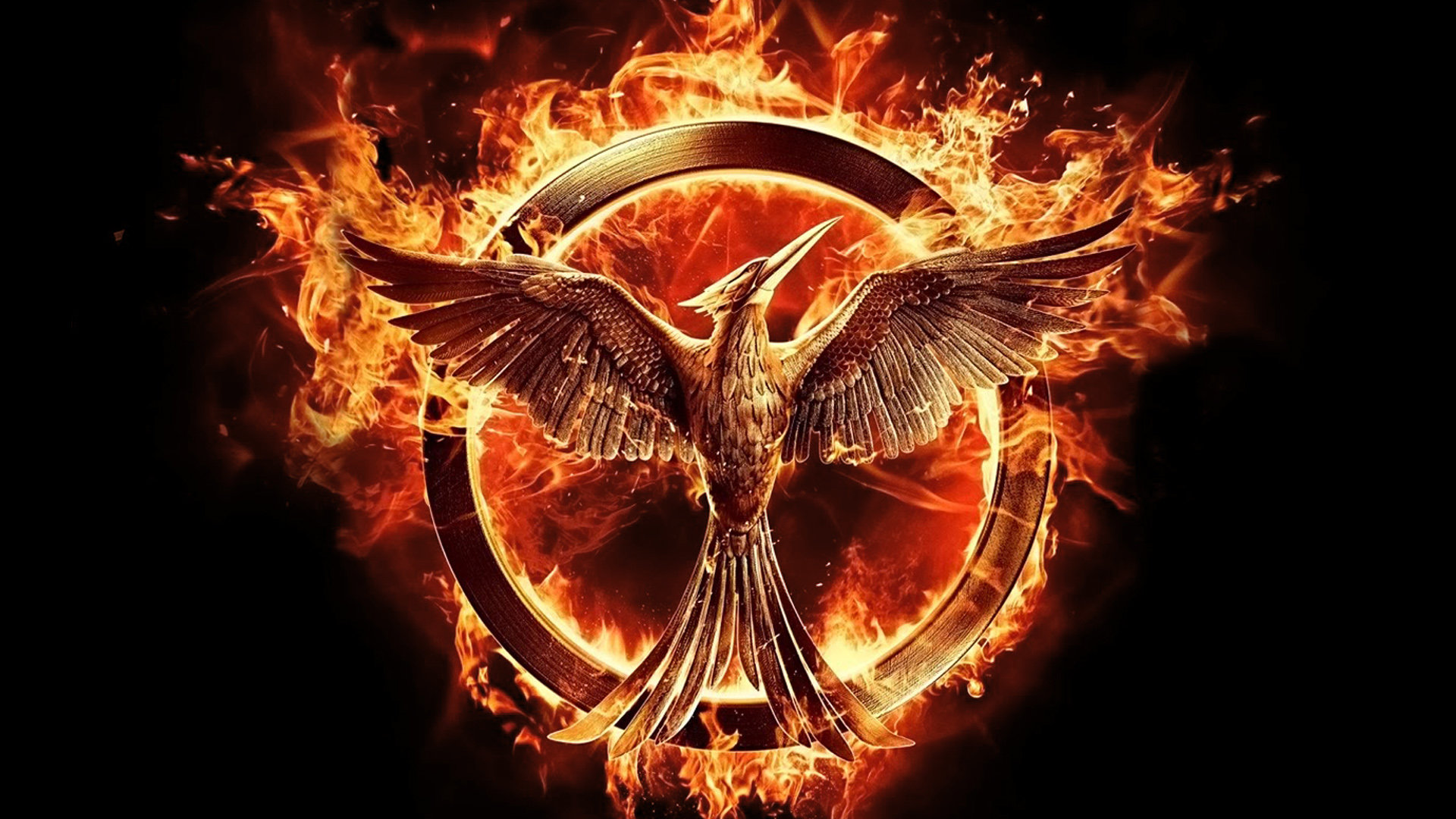 The Hunger Games Mockingjay   Part 1 wallpapers HD for desktop