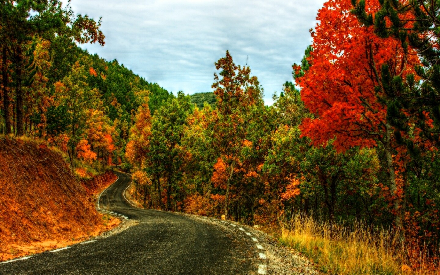 Landscapes Fall Wallpaper Roads Colorful