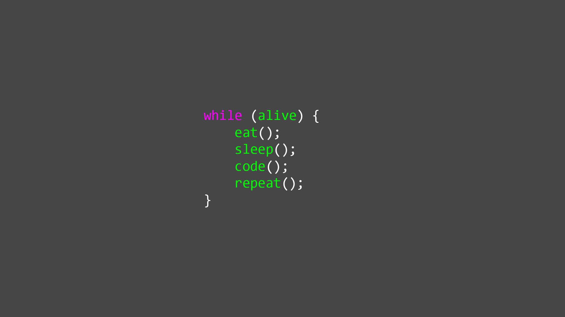 Smiling Programmer Code Fun Activities On The Puter