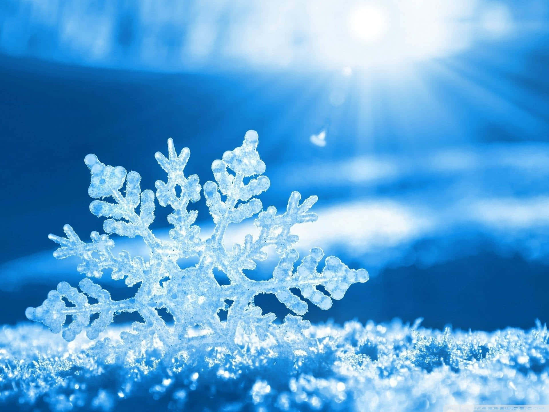 Winter Snow Desktop Wallpaper