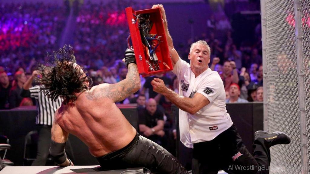 Shane Mcmahon Fighting With Undertaker Awl1127