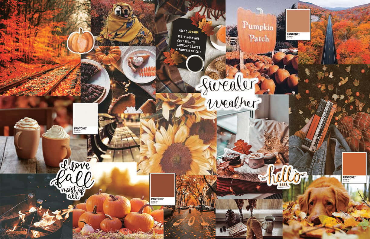 Cute Autumn Wallpaper