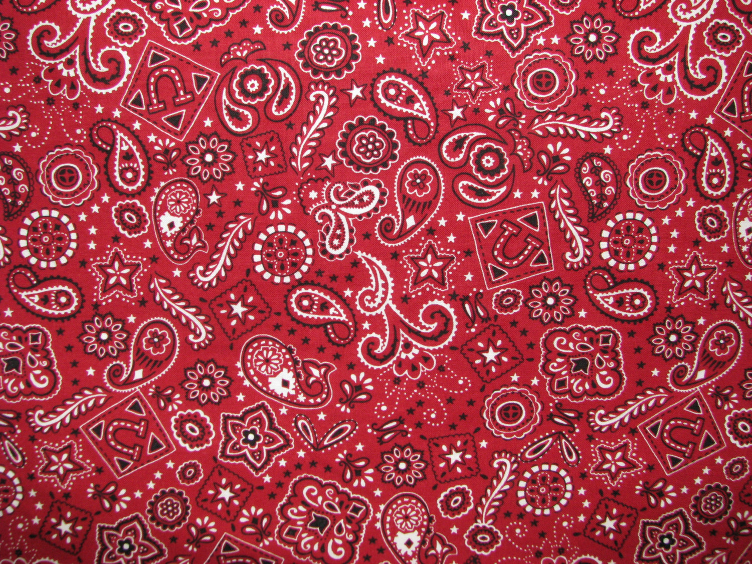 Giddy Up Cotton Fabric Red Black White Paisley Bandana Print