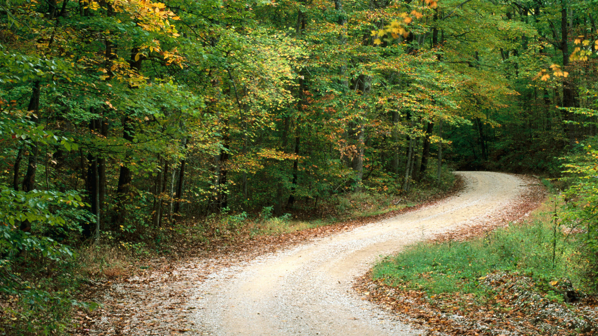 Country Roads Wallpaper
