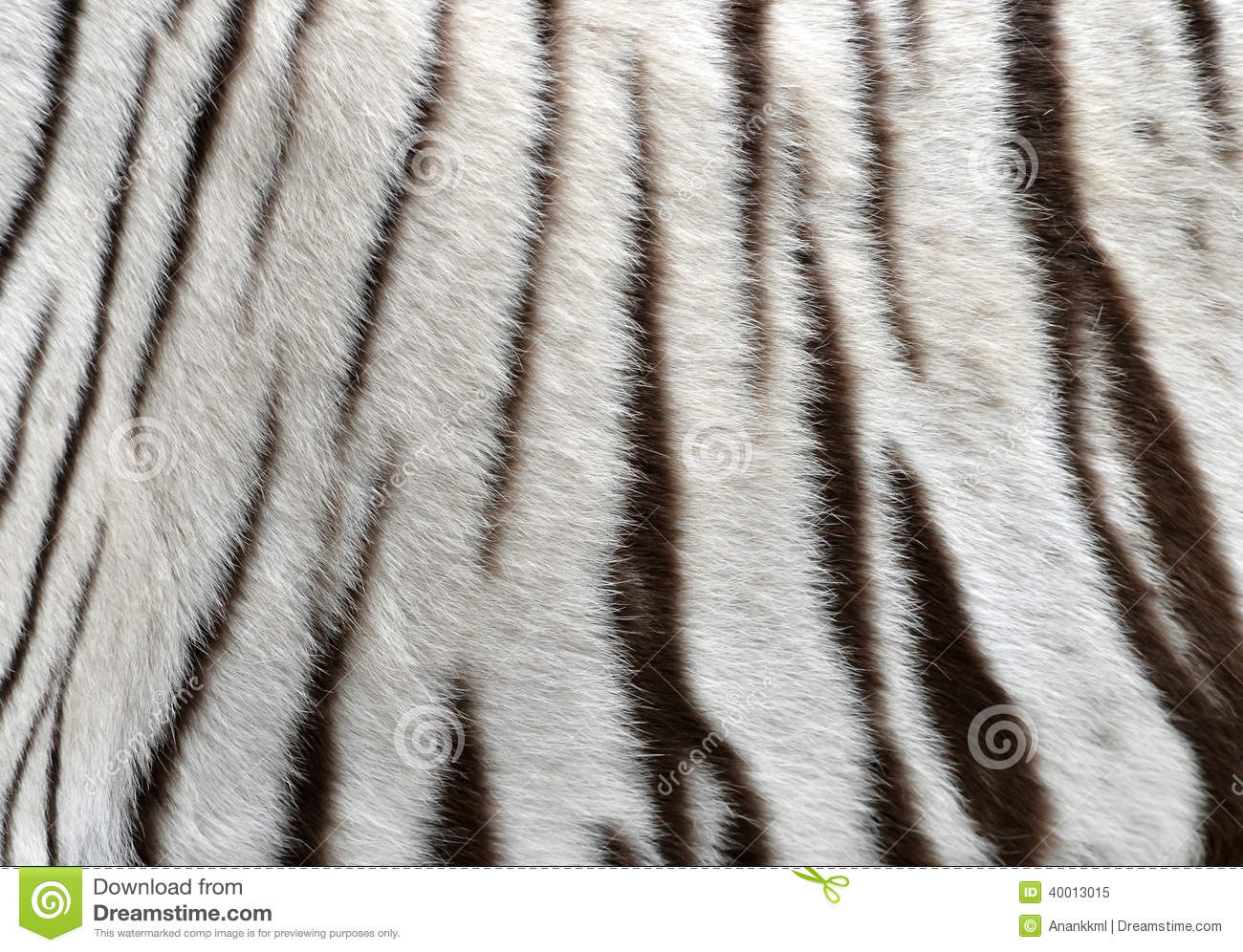 Pin Tiger Fur Background Wallpaper