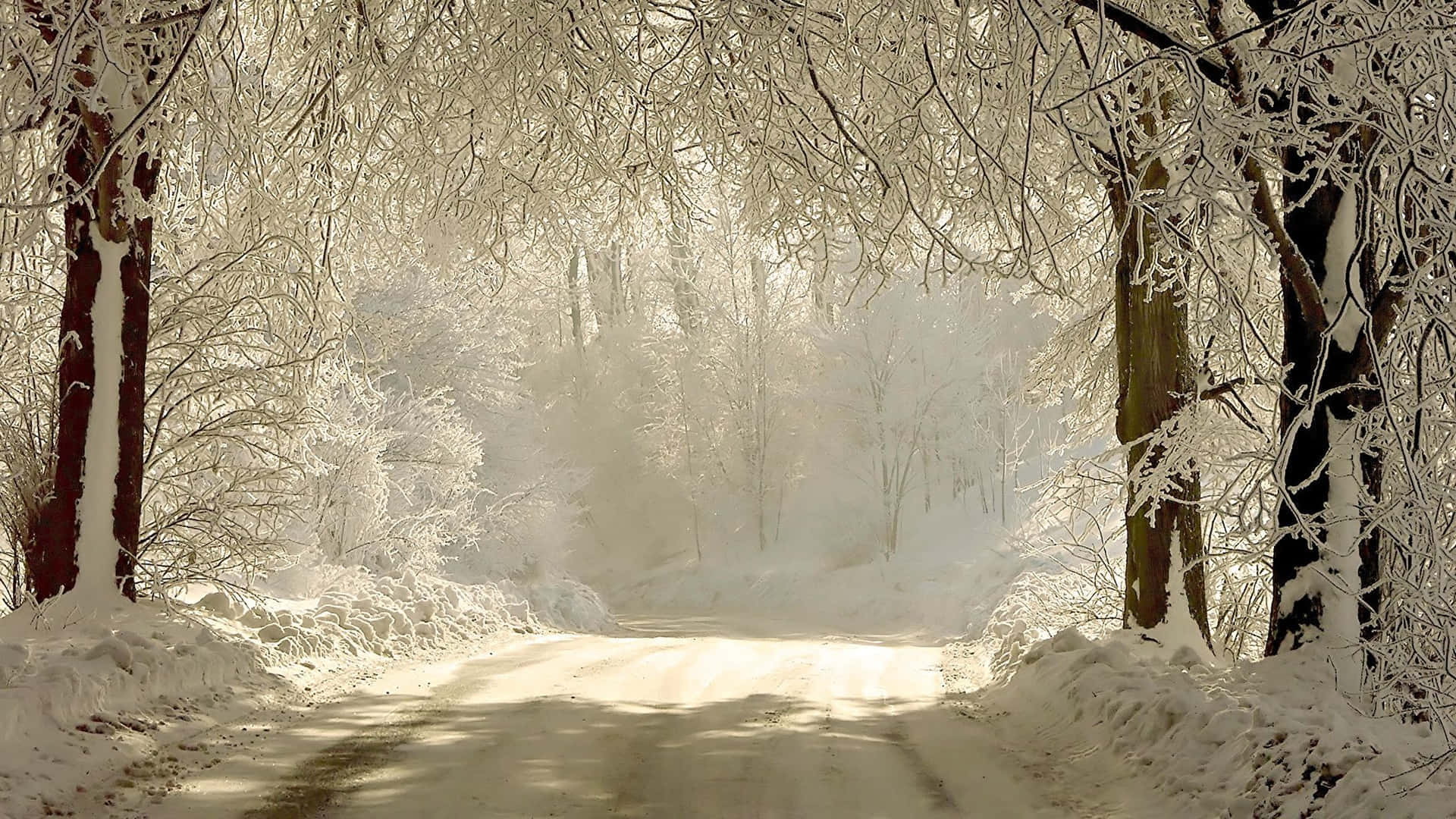 Winter Scenery Of The Alps Wallpaper
