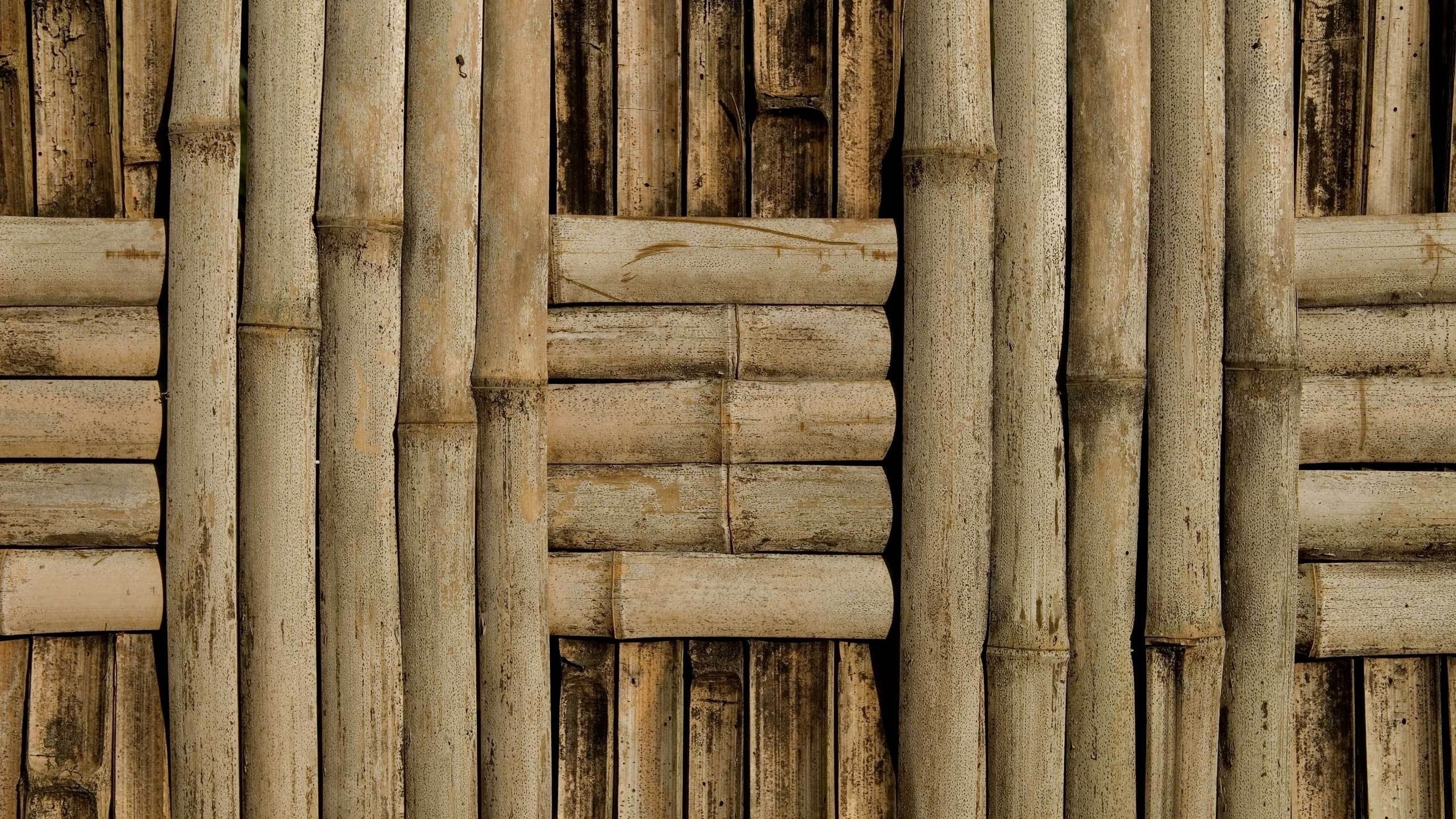 Bamboo HD Wallpaper