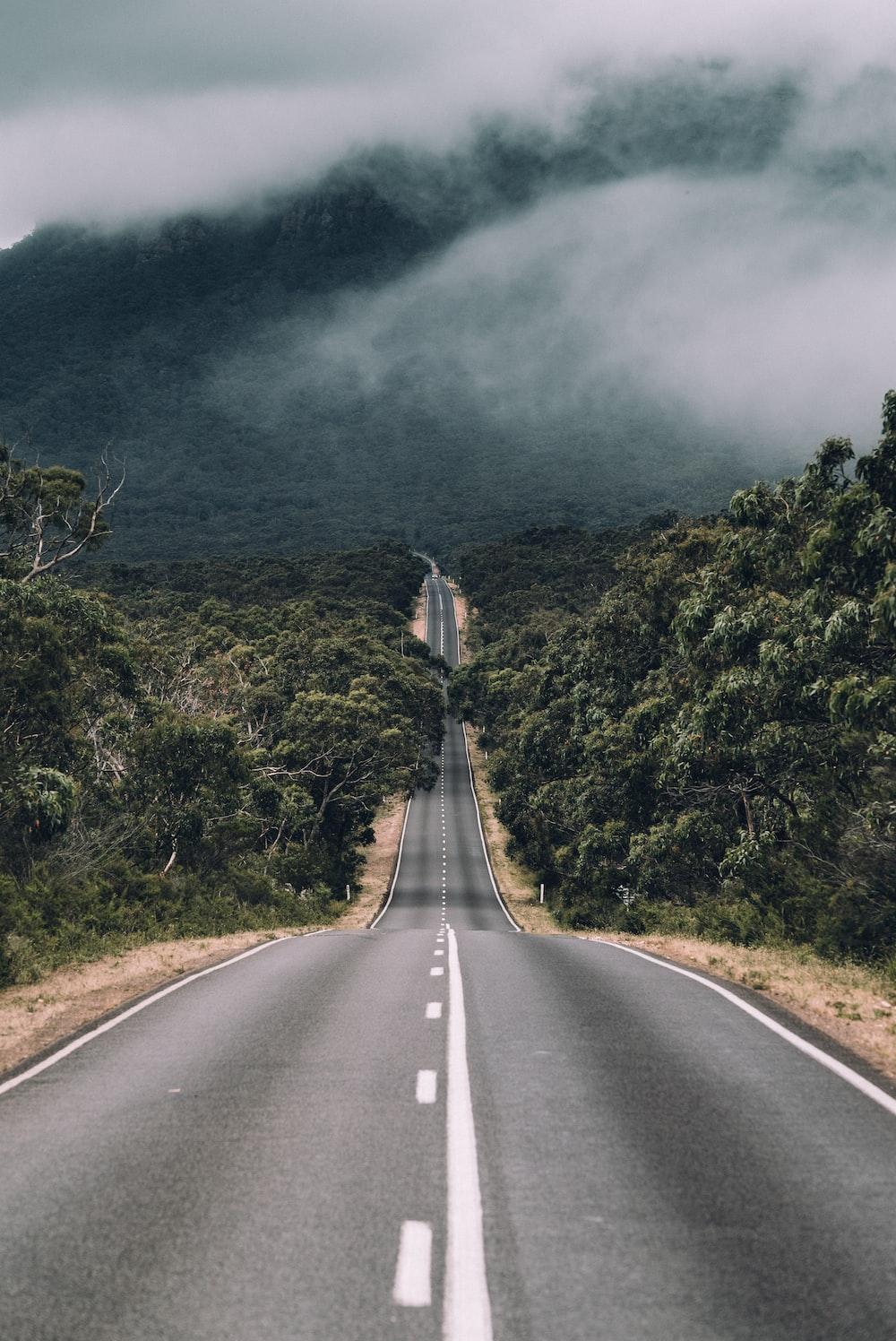 Empty road between trees with cloudy sky photo Free Australia