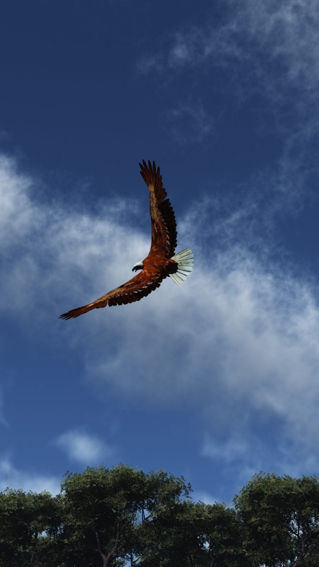 Eagle Wallpaper For iPhone Pro Max X