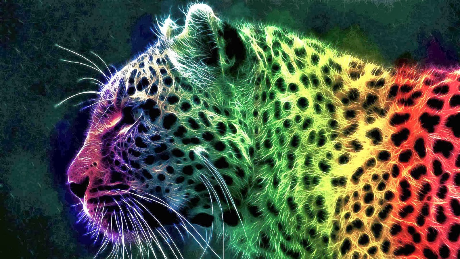 Rainbow Cheetah Wallpaper Best Windows