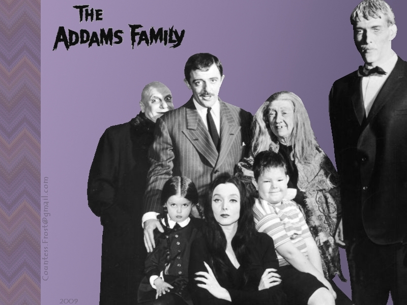 Addams Family images The Addams Family 2a HD wallpaper and