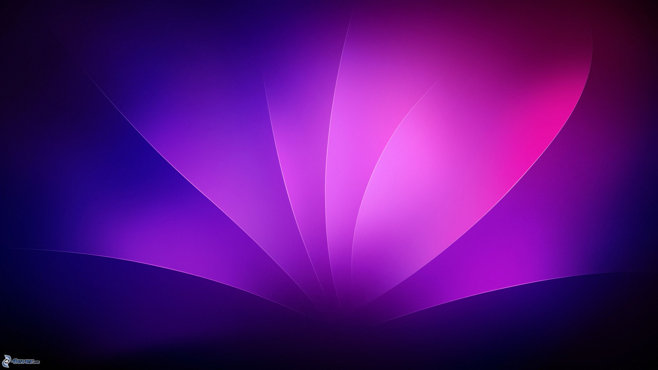 Free download Purple background [2560x1440] for your Desktop, Mobile &  Tablet | Explore 75+ Purple Background Image | Hd Image Wallpaper, Love  Background Image, New Image Wallpaper
