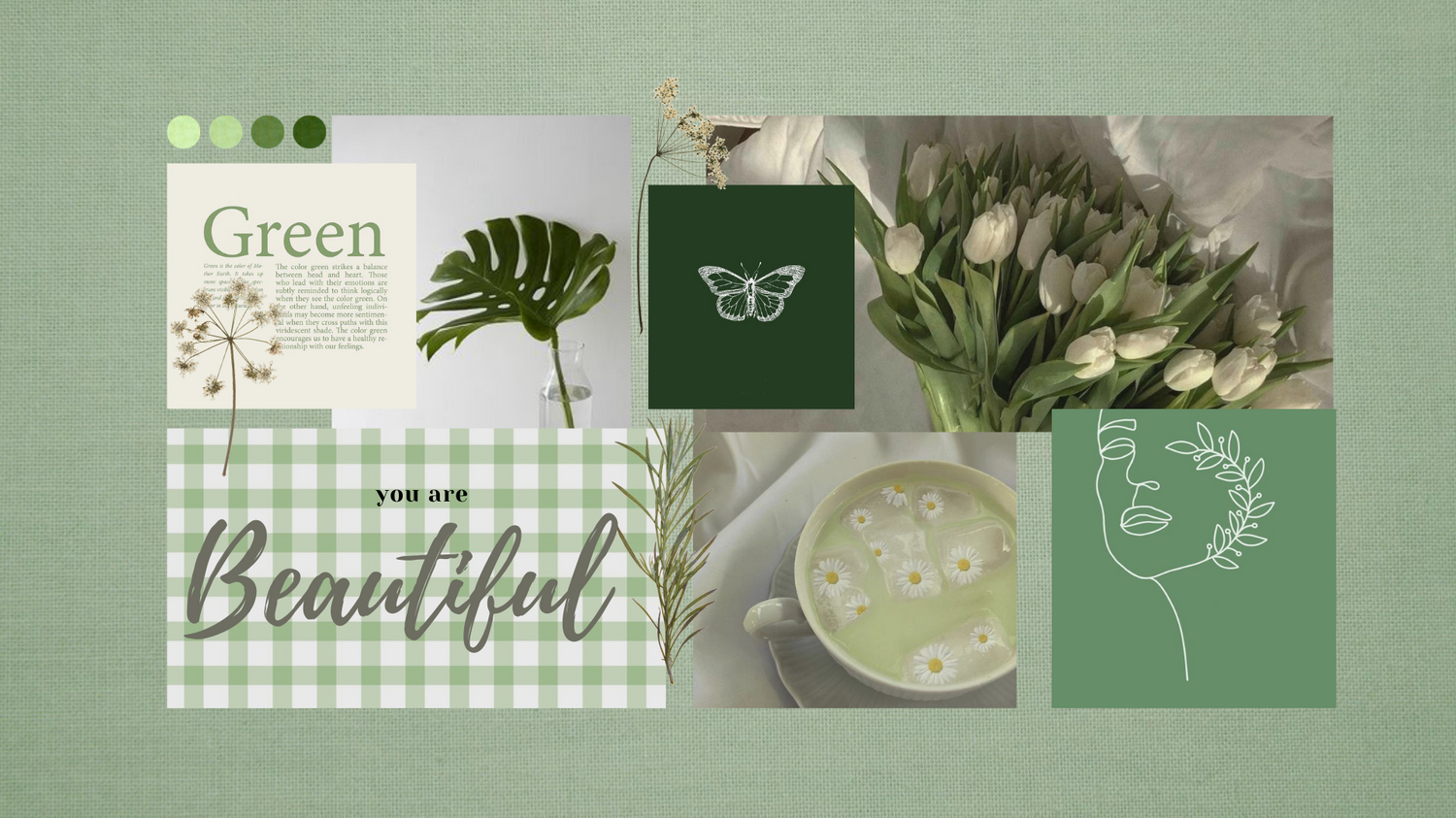 Sage Green Aesthetic Wallpaper