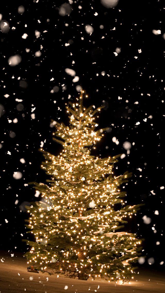 Christmas Gold Tree Black Background The Royal Hamilton