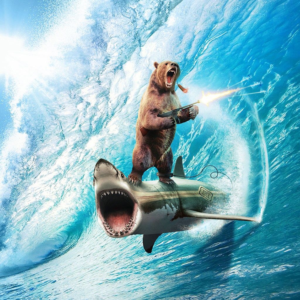 Surfing Bear X New Wallpaper iPhone Funny Cool Art