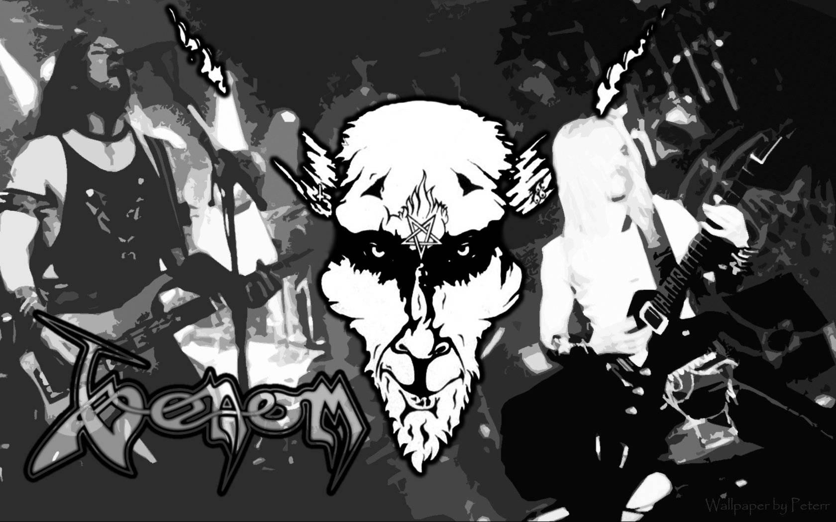 venom   Heavy Metal Wallpaper