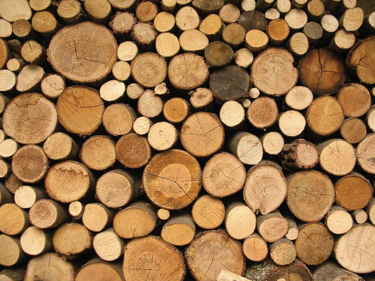 Wooden Workshops for Sale Timber Workshops UK   Tunstall Garden 1260x945