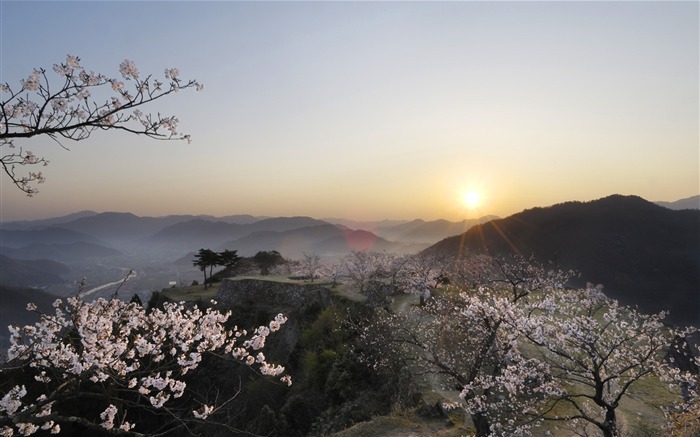 Cherry Blossom Sunrise Spring Wallpaper Album