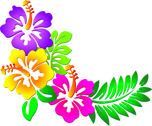 Hawaiian Flower Border Clip Art Hibiscus Png