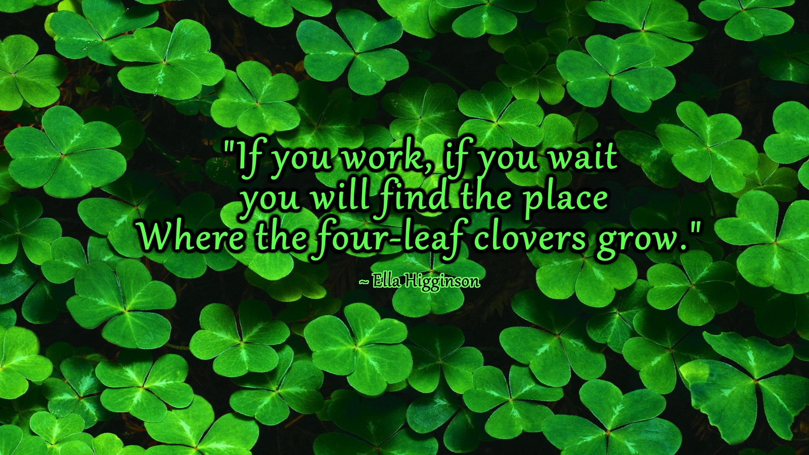 Lucky Four Leaf Clover Quotes