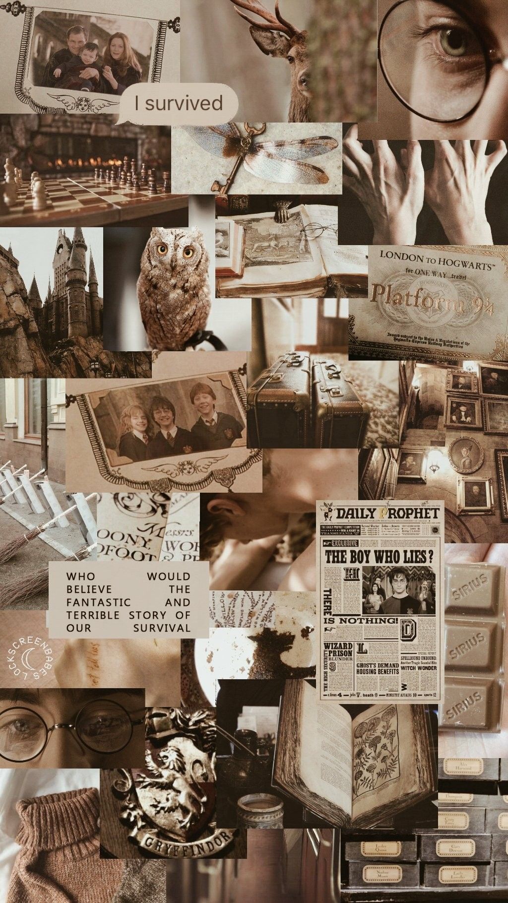 Harry Potter Wallpaper Collage Aesthetic