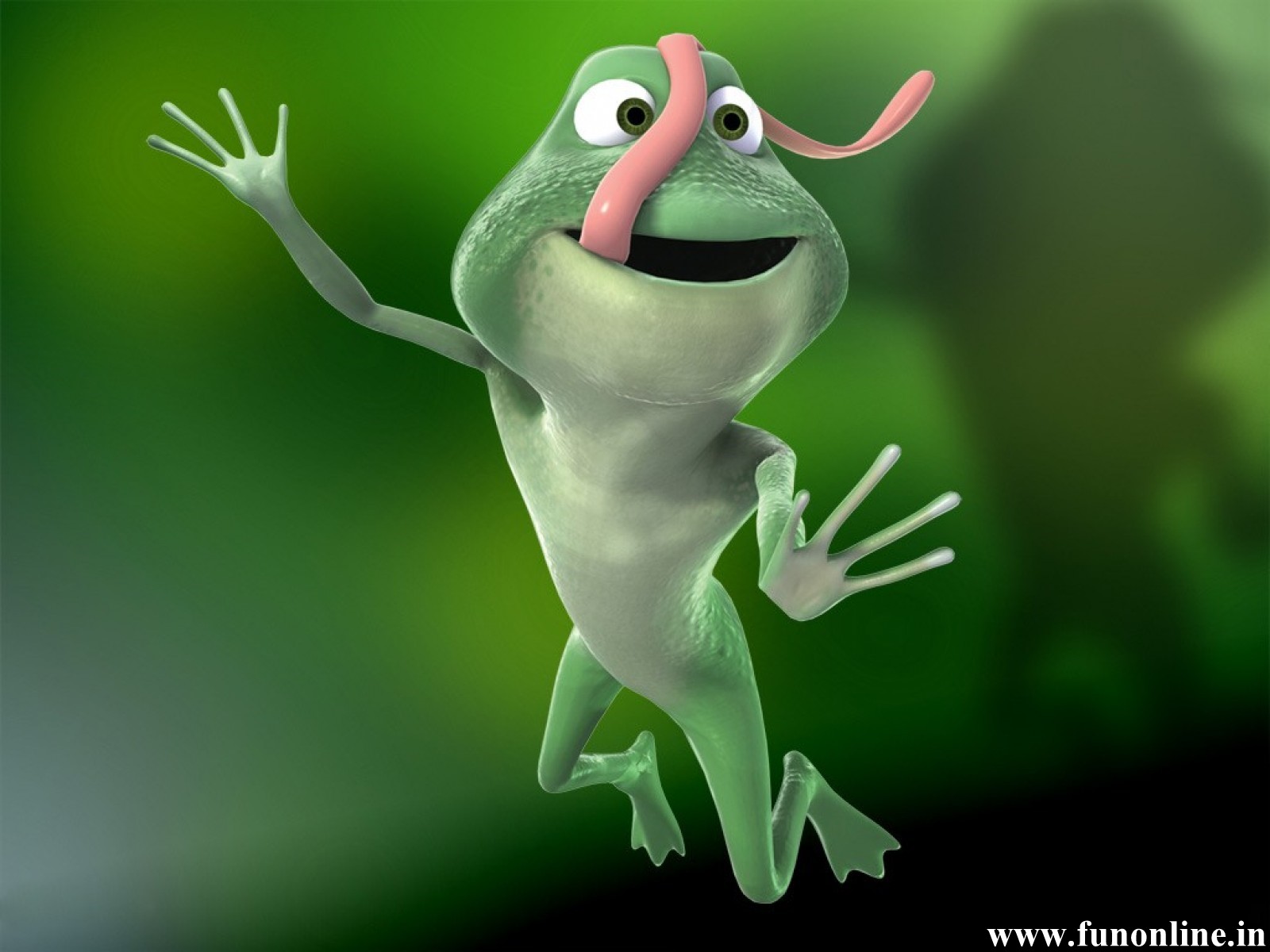 Frog Wallpaper Bullfrog And Moss Frogs HD