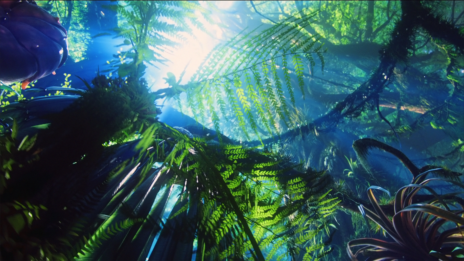 Lush Pandora Forest, Avatar Wallpaper