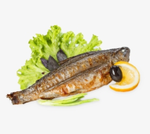 Pacific Saury Wallpaper