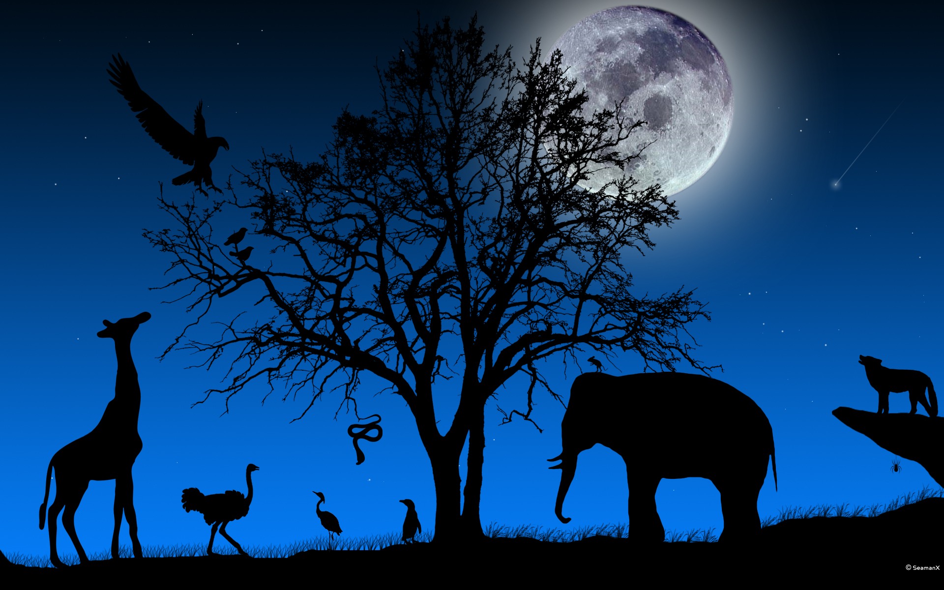 African Night Desktop Wallpaper