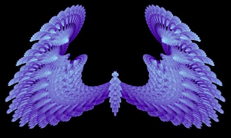 Voc Purple Wings By Gibson125