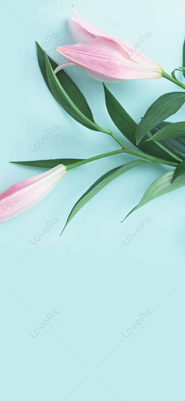Small Fresh Mobile Phone Wallpaper Image On Lovepik