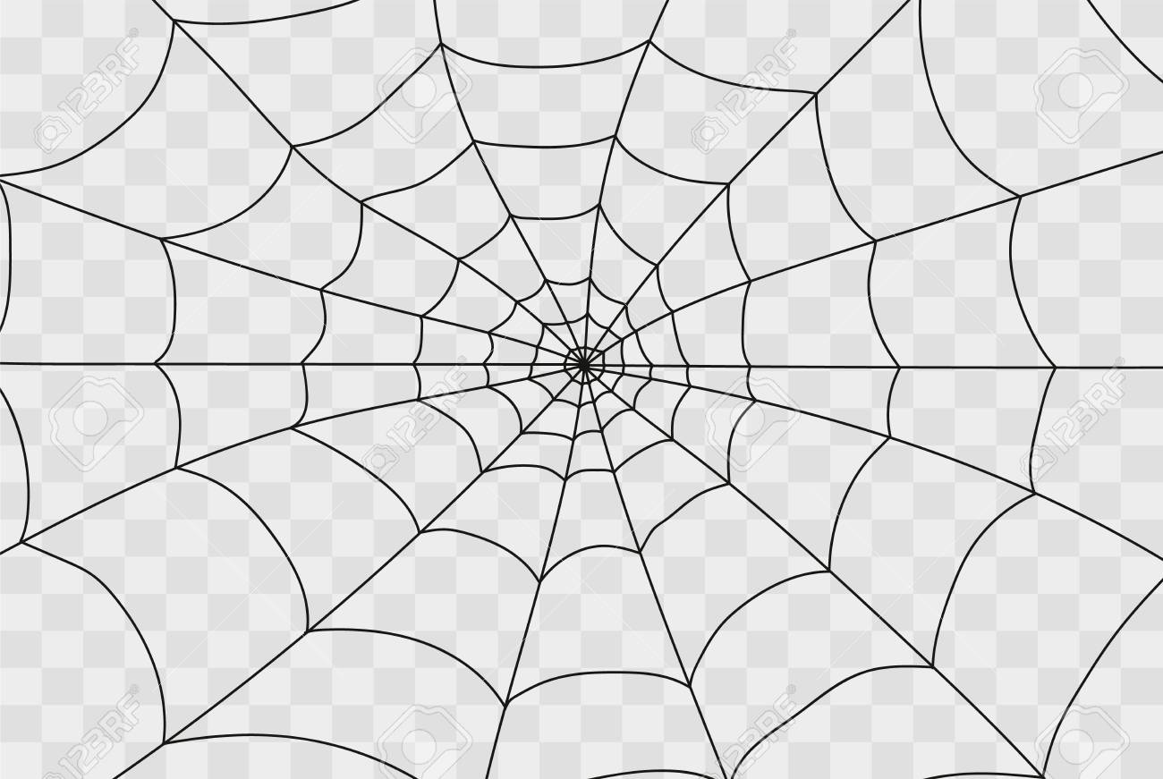 Free download Cobweb Isolated On White Transparent Background Cobweb ...