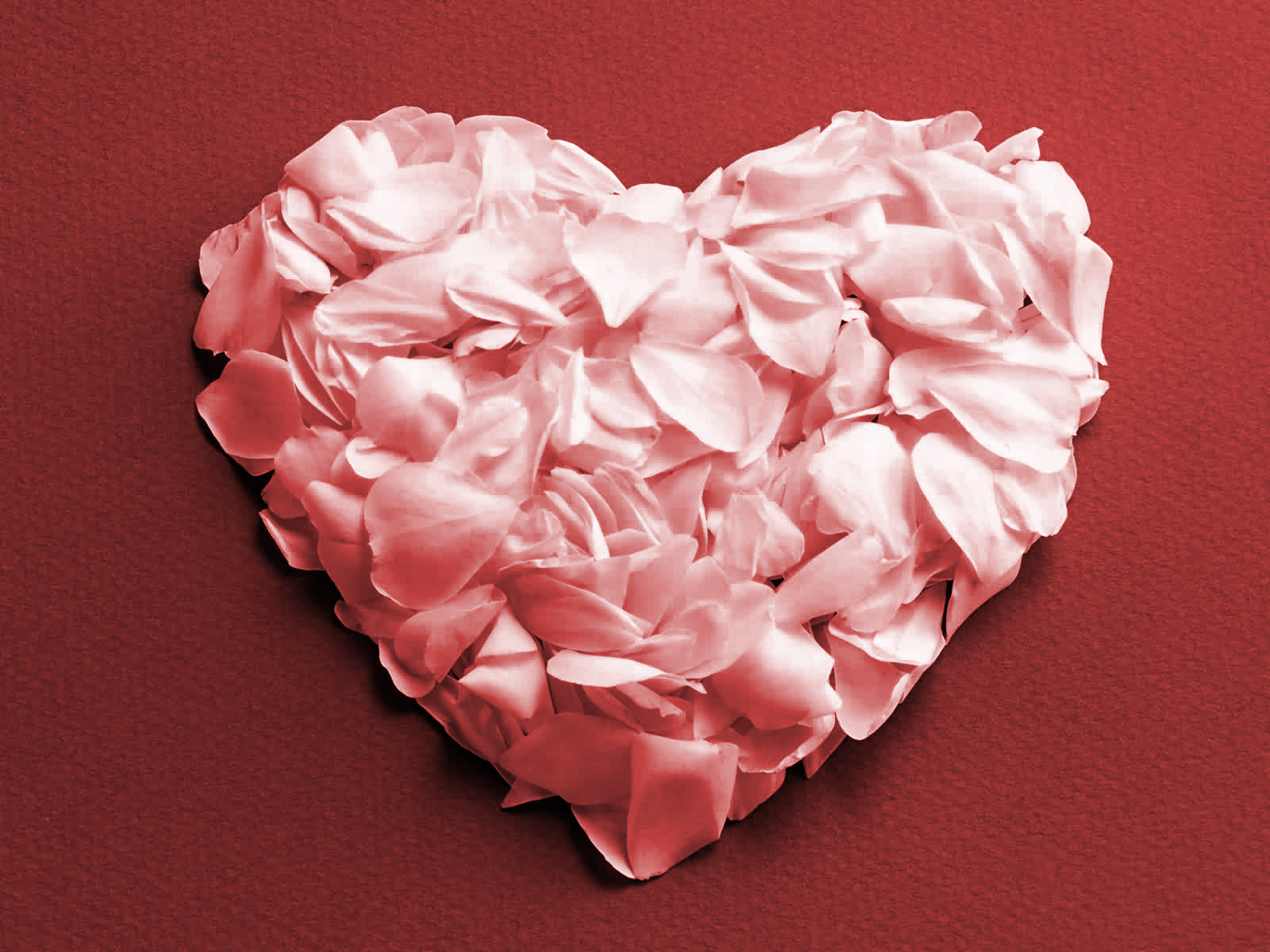 🔥 [47+] Wallpaper of Roses and Hearts | WallpaperSafari