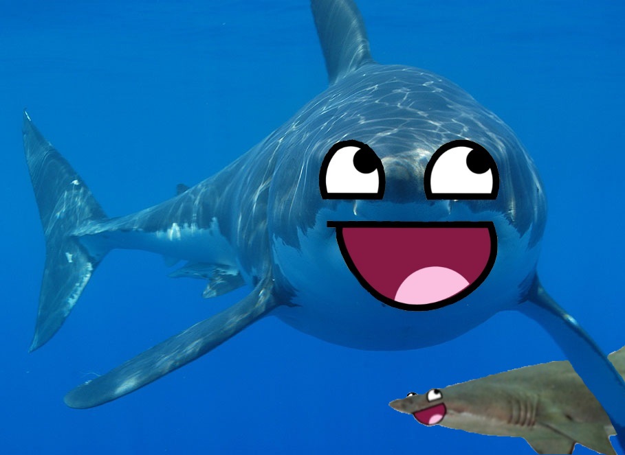 Awesome Shark By Awesomeshark