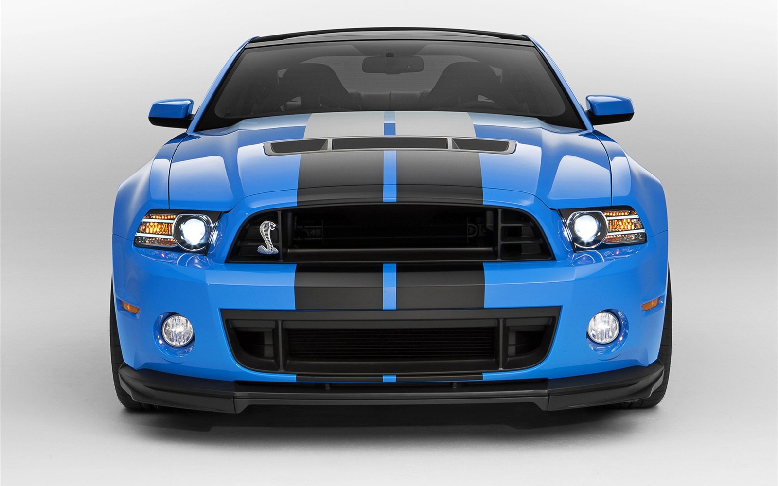 Ford Shelby Gt500 Wallpaper Hot Cars Zone