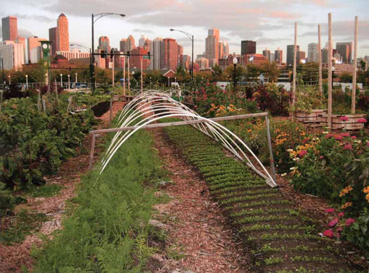 areas Many urban food projects are small scale neighborhood programs 525x389