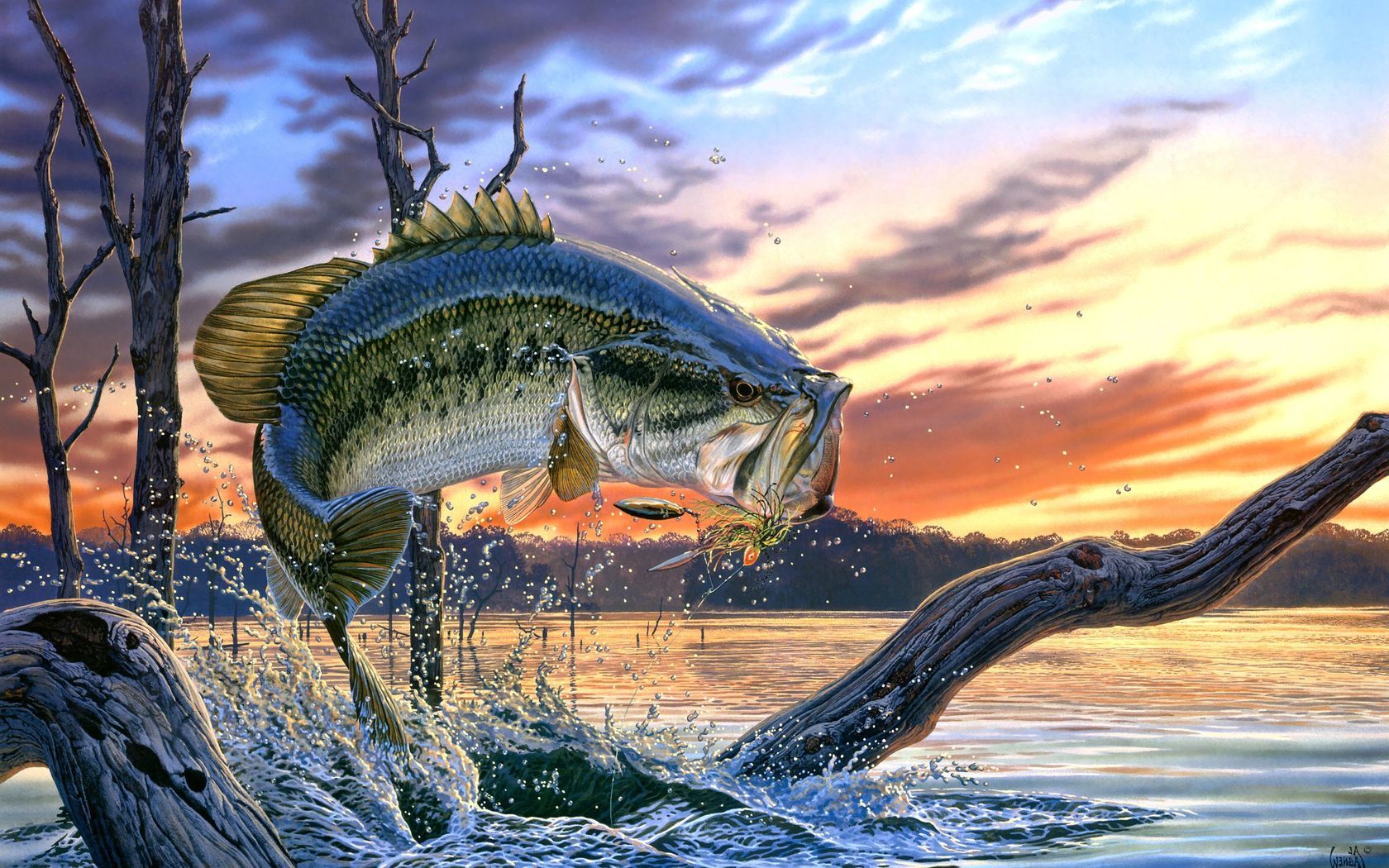 Bass Fishing Wallpaper Backgrounds 1680x1050