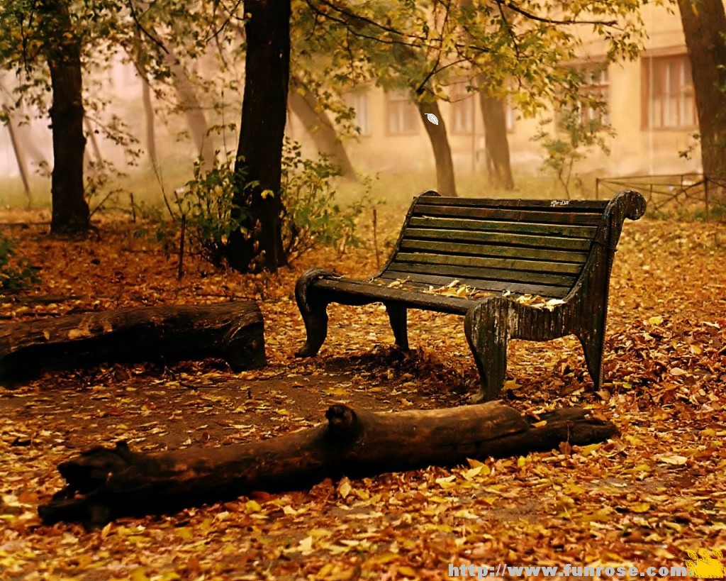 Only Nature Autumn Wallpaper